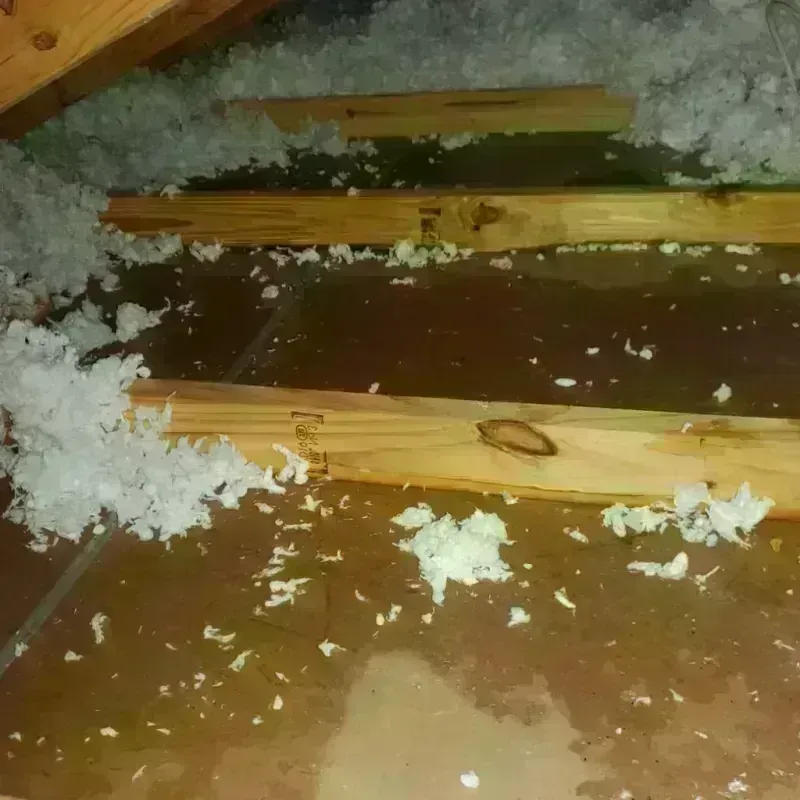 Attic Water Damage in Oak Grove, KY